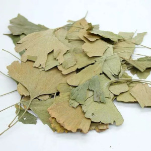 100 Grs - Ginkgo Biloba